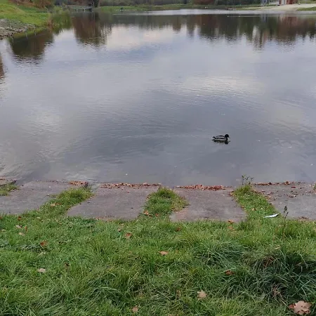 Virto شقة مورشيم